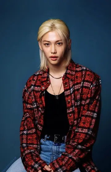 Photocard Felix